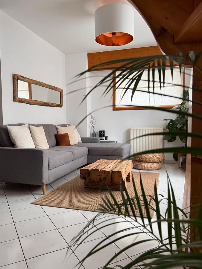 Appartement Spacieux Au Pays Du Mont-Blanc Sallanches Exterior foto