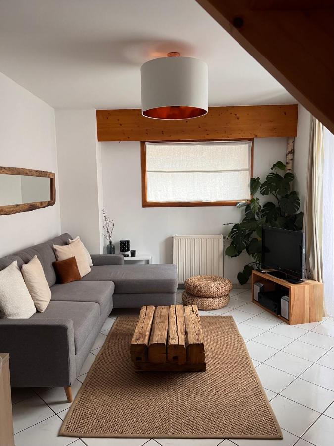 Appartement Spacieux Au Pays Du Mont-Blanc Sallanches Exterior foto